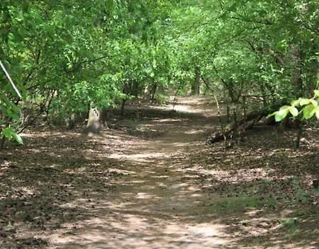 Apartamento Hoefbos *